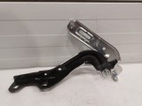 Hinge (Left)